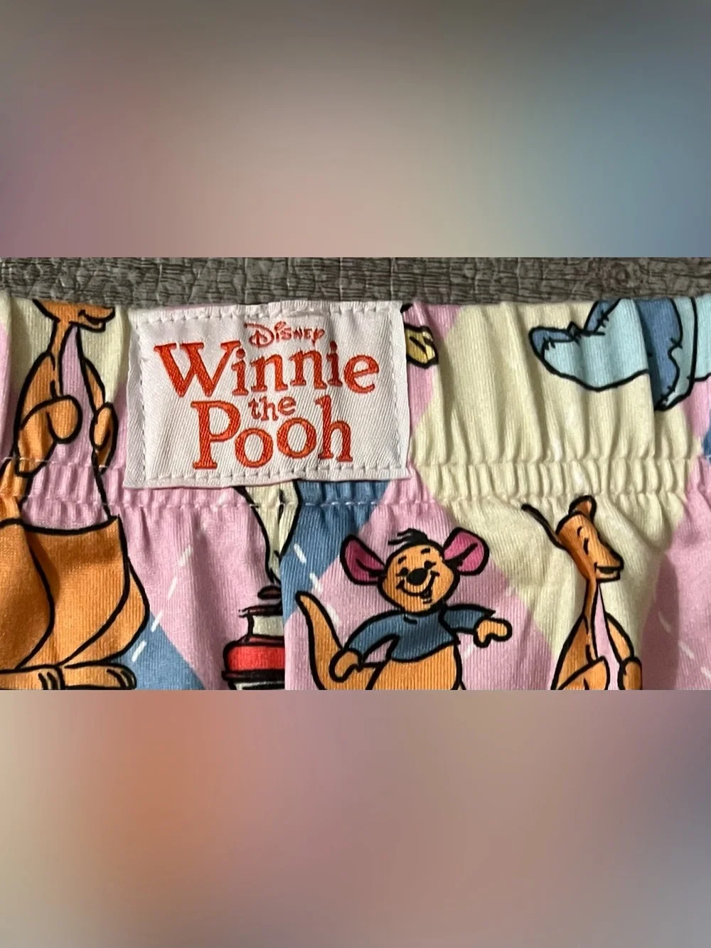 The Disney Winnie the Pooh Women’s Sleep Shorts 2-Pack in 3XL Plus